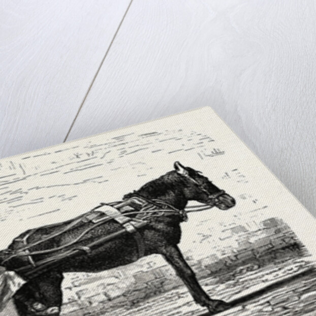 A Chinese Cart by Anonymous