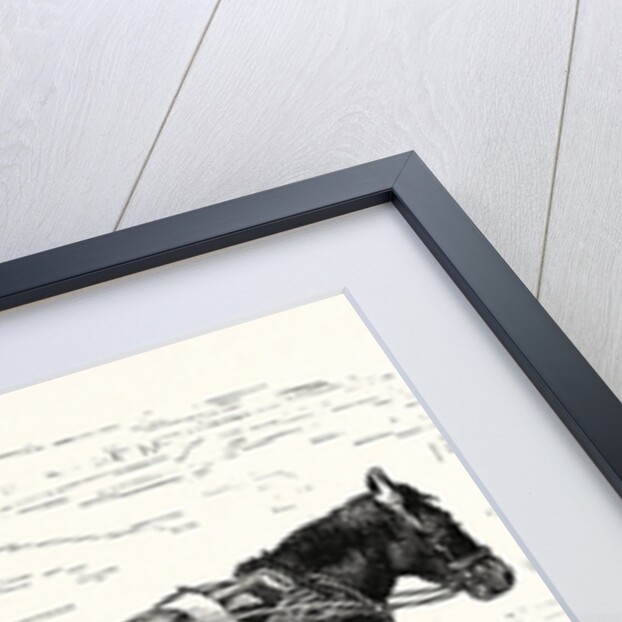 A Chinese Cart by Anonymous