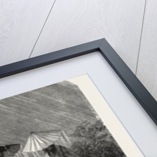 A Corean Palanquin by Anonymous