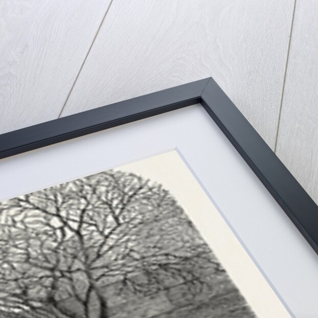 Tungans and Kalmuks Op Kuldja by Anonymous