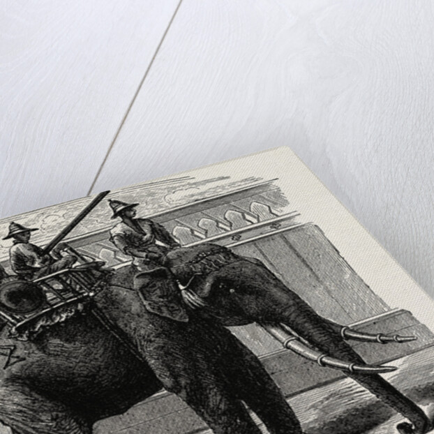 A Siamese War Elephant. by Anonymous