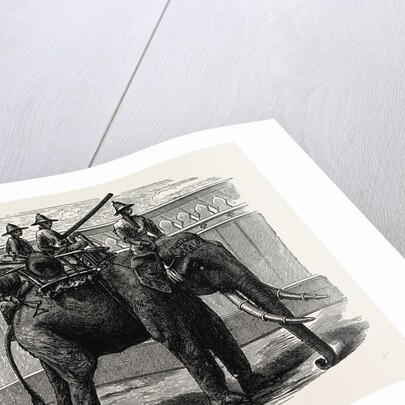 A Siamese War Elephant. by Anonymous