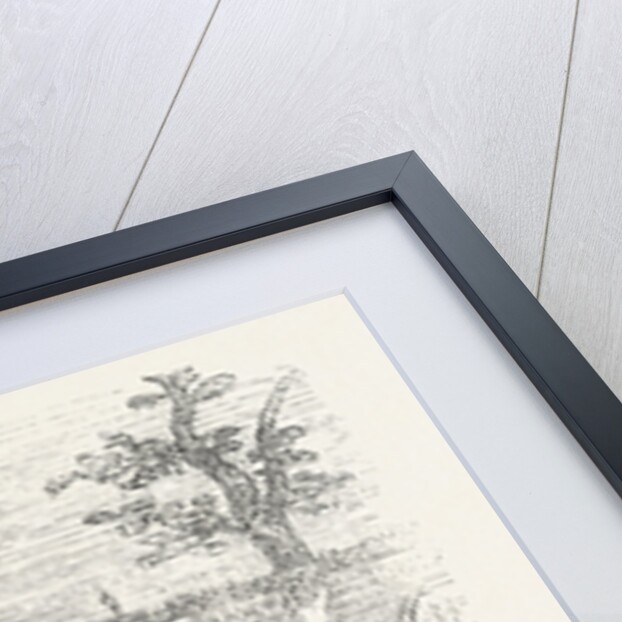 Obstruction of Individual Gates of the City Walls by Futzangeln, Barbed Wire and Barricades by Anonymous