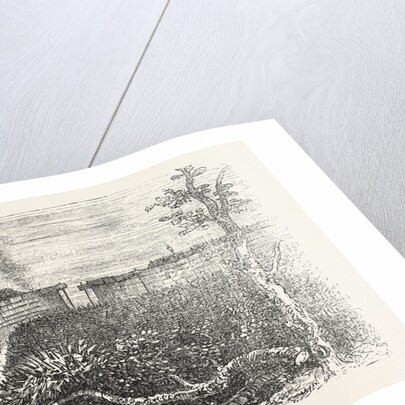 Obstruction of Individual Gates of the City Walls by Futzangeln, Barbed Wire and Barricades by Anonymous