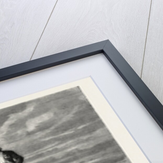 on the Border, 1870 by Anonymous