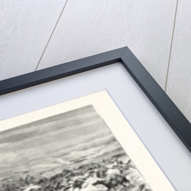 Rapid Fire of the Prussian Infantry Riders against the French Cavalry, the Battle of Sedan, September 1 1870 by Anonymous