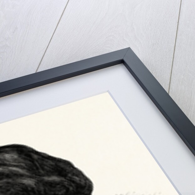 Leon Gambetta, 1838 - 1882, Minister of the Interior and War by Anonymous