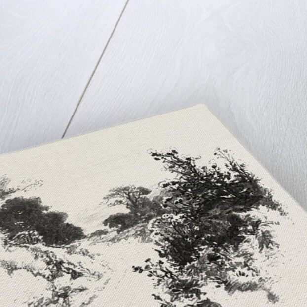 A Roadside Sketch, Canada by Anonymous