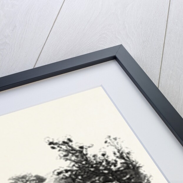 A Roadside Sketch, Canada by Anonymous