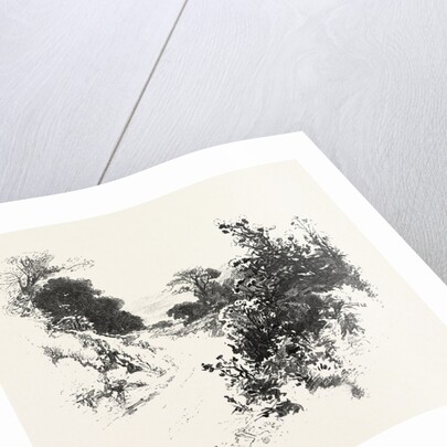 A Roadside Sketch, Canada by Anonymous