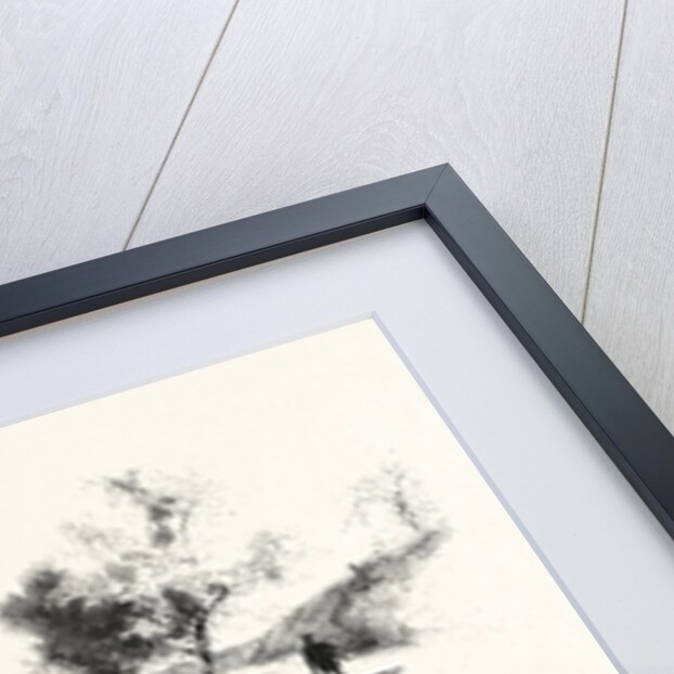 On the Banks of the Detroit, Railway Ferry, Amherstburg, Old Windmill, Sandwich, Old Fort Near Amherstburg, Canada by Anonymous