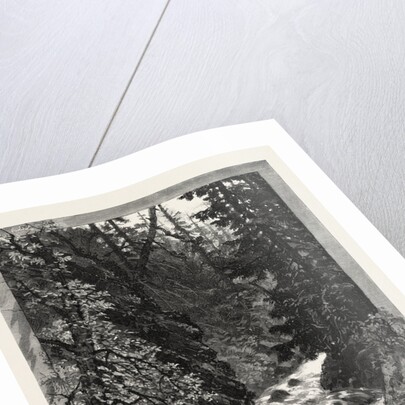 A Trout Pool on the Saugeen, Canada by Anonymous