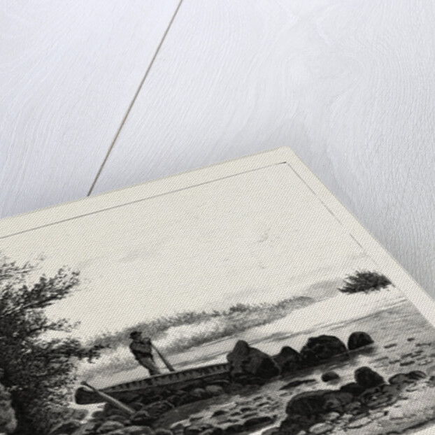 Central Ontario, Watching for Deer, Canada by Anonymous