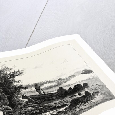 Central Ontario, Watching for Deer, Canada by Anonymous