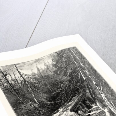 Forest Stream, and Timber Slide, Canada by Anonymous