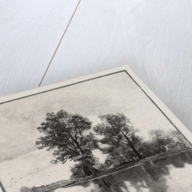 New Brunswick, on the Tobique, Canada by Anonymous