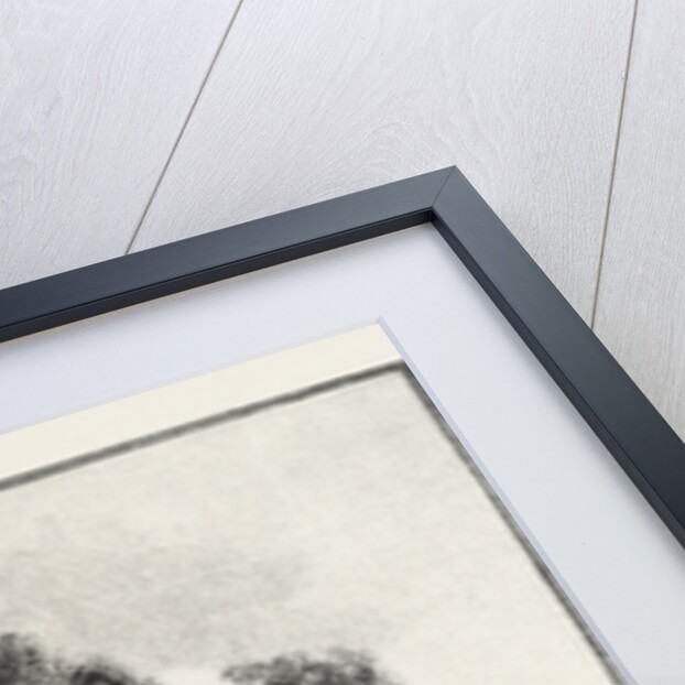 New Brunswick, on the Tobique, Canada by Anonymous