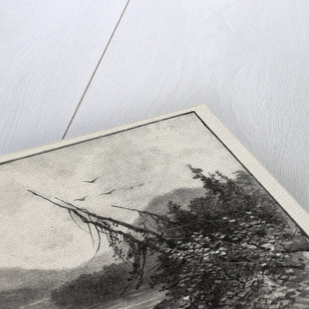 New Brunswick, Little Tobique Lake, Canada by Anonymous