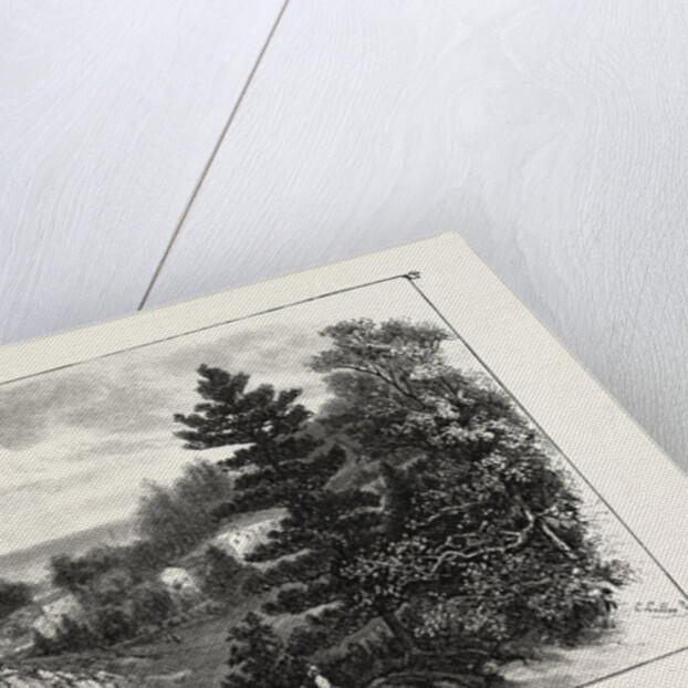 New Brunswick, on the Bay Chaleurs, Canada by Anonymous