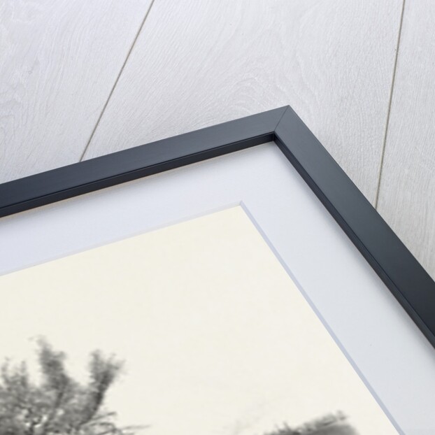 Nova Scotia, Pictou, Canada by Anonymous