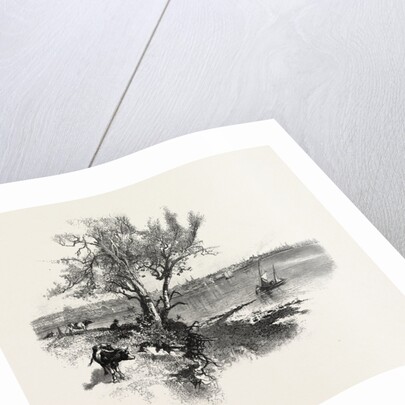 Nova Scotia, Pictou, Canada by Anonymous