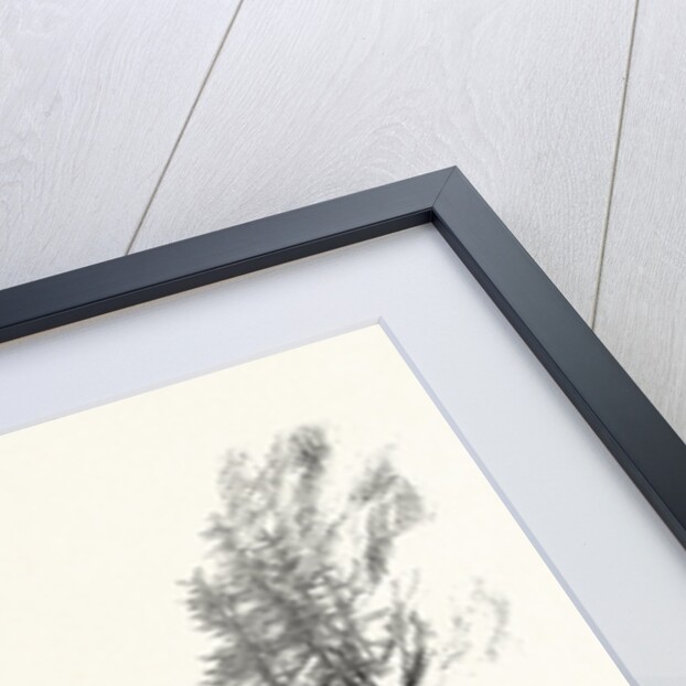 British Columbia, Waggon Road on the Fraser, Canada by Anonymous