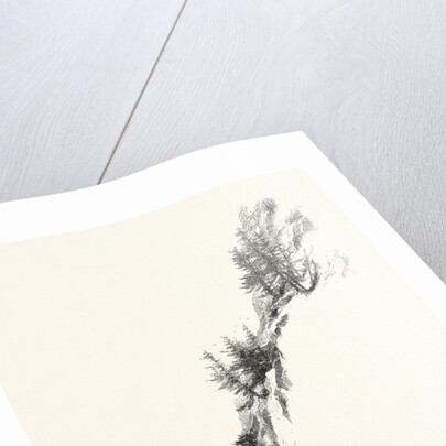 British Columbia, Waggon Road on the Fraser, Canada by Anonymous