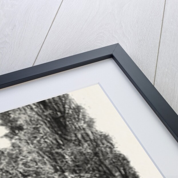 Quebec, St. Louis Gate, Canada by Anonymous