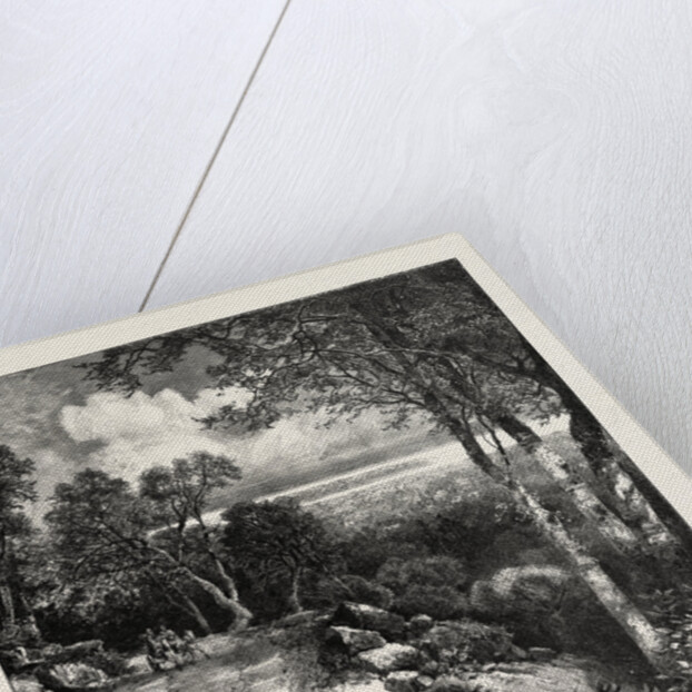 Montreal Drive, Canada by Anonymous