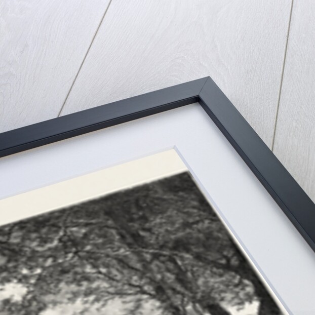 Montreal Drive, Canada by Anonymous