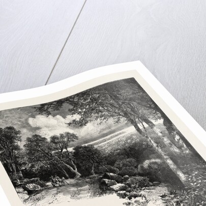 Montreal Drive, Canada by Anonymous