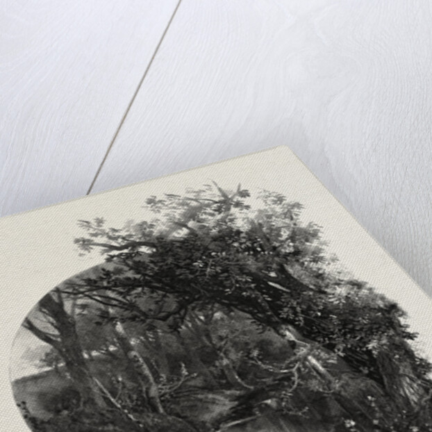 Manitoba, a Prairie Stream, Canada by Anonymous