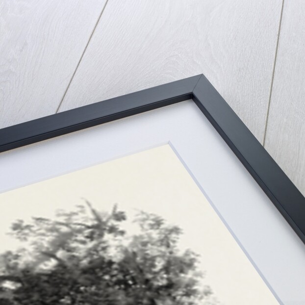 Manitoba, a Prairie Stream, Canada by Anonymous