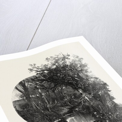 Manitoba, a Prairie Stream, Canada by Anonymous