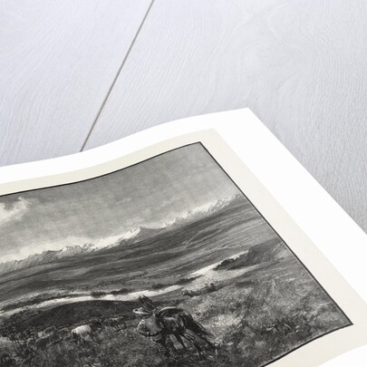 Near Fort Calgarry, Looking Towards the Rocky Mountains, Canada by Anonymous