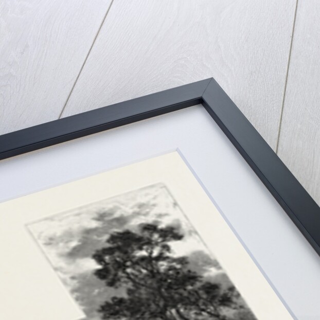 A Glimpse of the Niagara Falls from Clinton, Canada by Anonymous