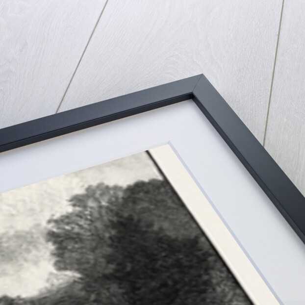 Ravine Near Whirlpool, Canada by Anonymous