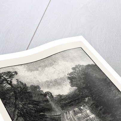 Ravine Near Whirlpool, Canada by Anonymous