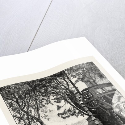 The River above Whirlpool, Canada by Anonymous