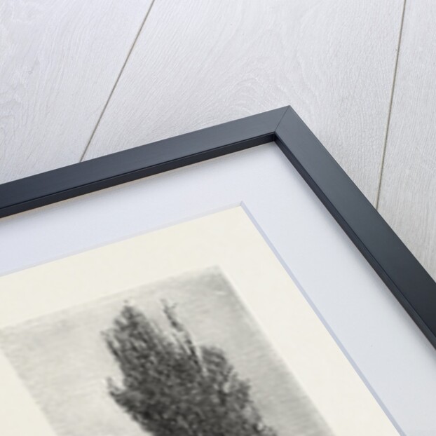 St. Mark's Church, Niagara, Canada by Anonymous