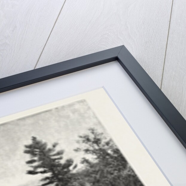 Looking Towards Lake Ontario, from Heights Near Queenston, Canada by Anonymous