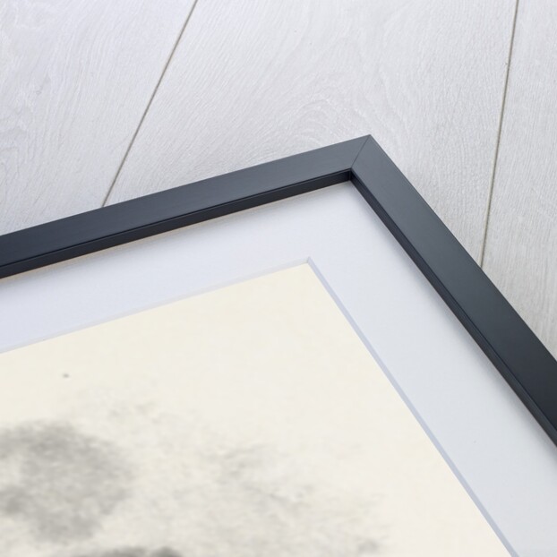 Toronto and Vicinity, Canada by Anonymous