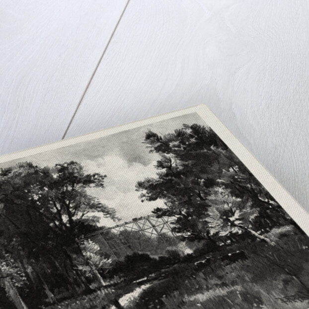 The North Iron Bridge, and Ravine, Rosedale, Canada by Anonymous