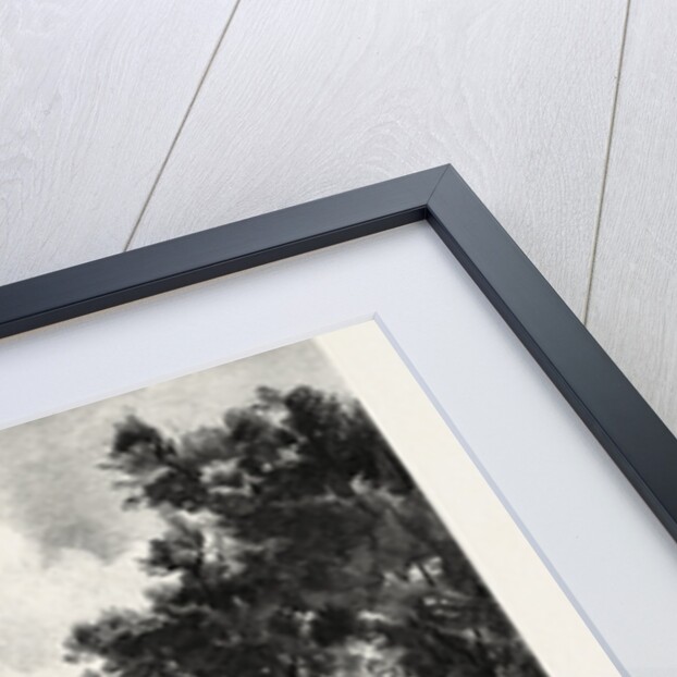 The North Iron Bridge, and Ravine, Rosedale, Canada by Anonymous