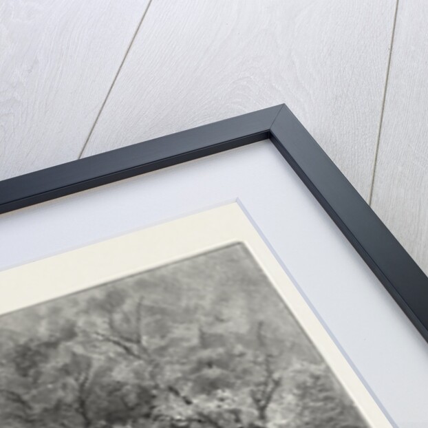 Toronto, College Avenue (Queen Street), Canada by Anonymous