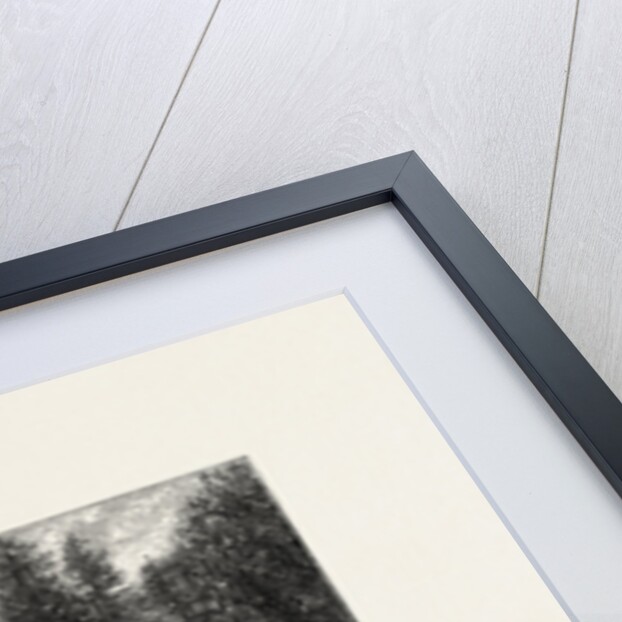 The Cascade, Virginia Water, Village Being in the Borough of Runnymede in Surrey by Anonymous