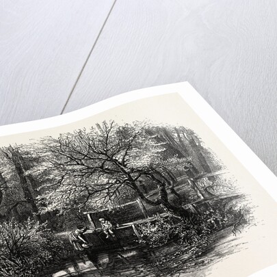 Markeaton Brook, East Midlands of England by Anonymous