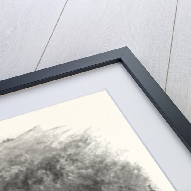 Reynard's Cave, Dove Dale, Peak District, England by Anonymous