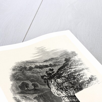 Lytton Dale by Anonymous