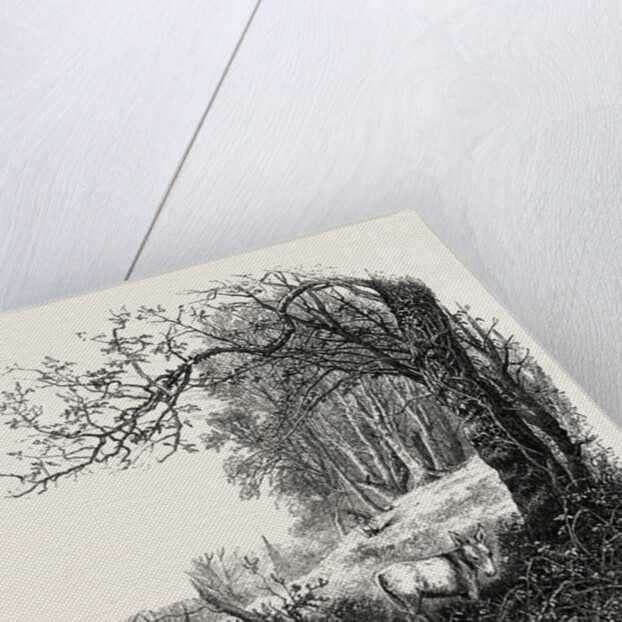 High Beech, Epping Forest by Anonymous